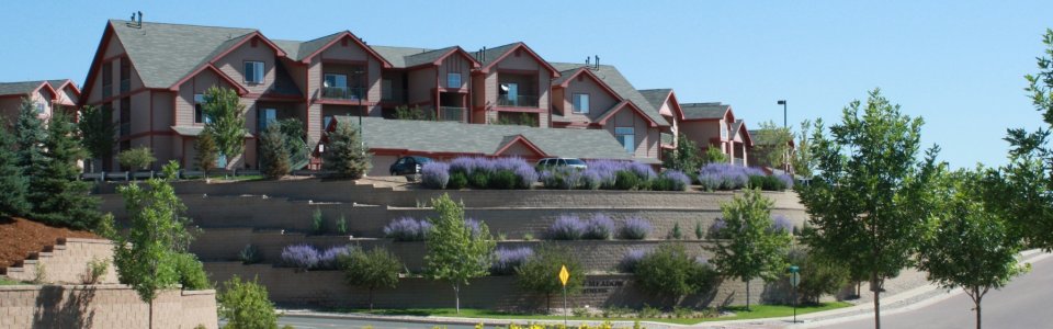 Stetson Meadows